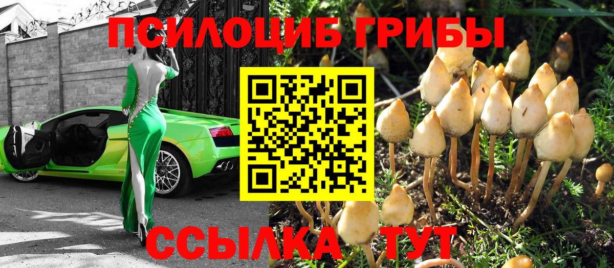 Галлюциногенные грибы мицелий  Вход с VPN  Полевской 